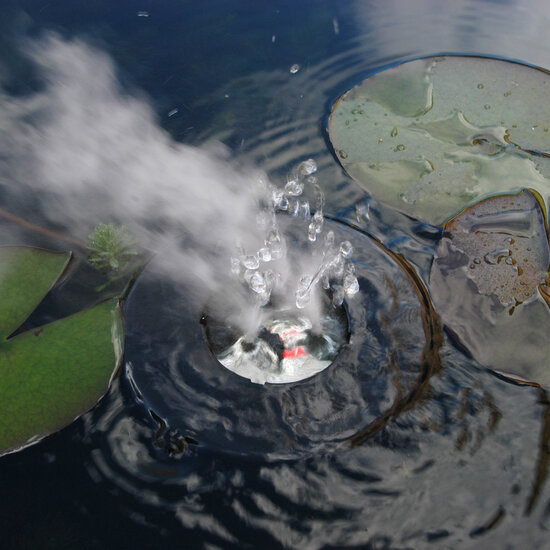 Ubbink MystMaker III outdoor vernevelaar met drijfelement Ubbink