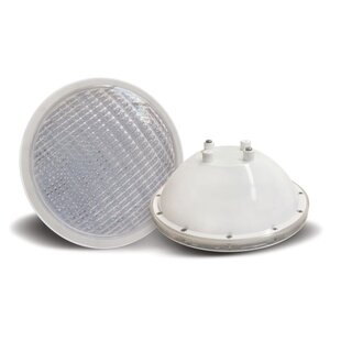 Par56 witte Led lamp (12V, 18W, Abs)