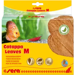 Sera Catappa Leaves M 16 – 20 cm
