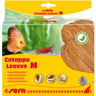 Sera Catappa Leaves M 16 – 20 cm