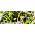 Heissner Smart tuin camera - Heissner