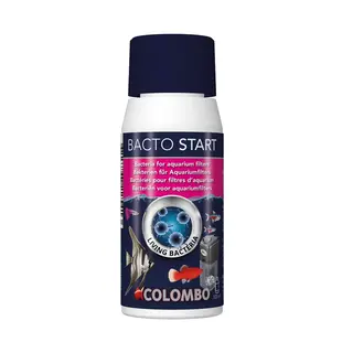 Bacto start 100ml - Colombo