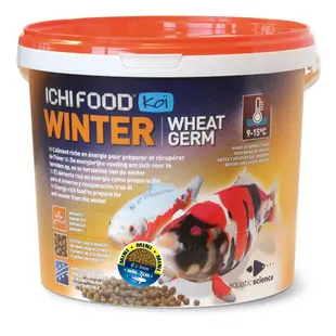 ICHI FOOD Winter mini 2-3 mm 4 Kg - Aquatic Science