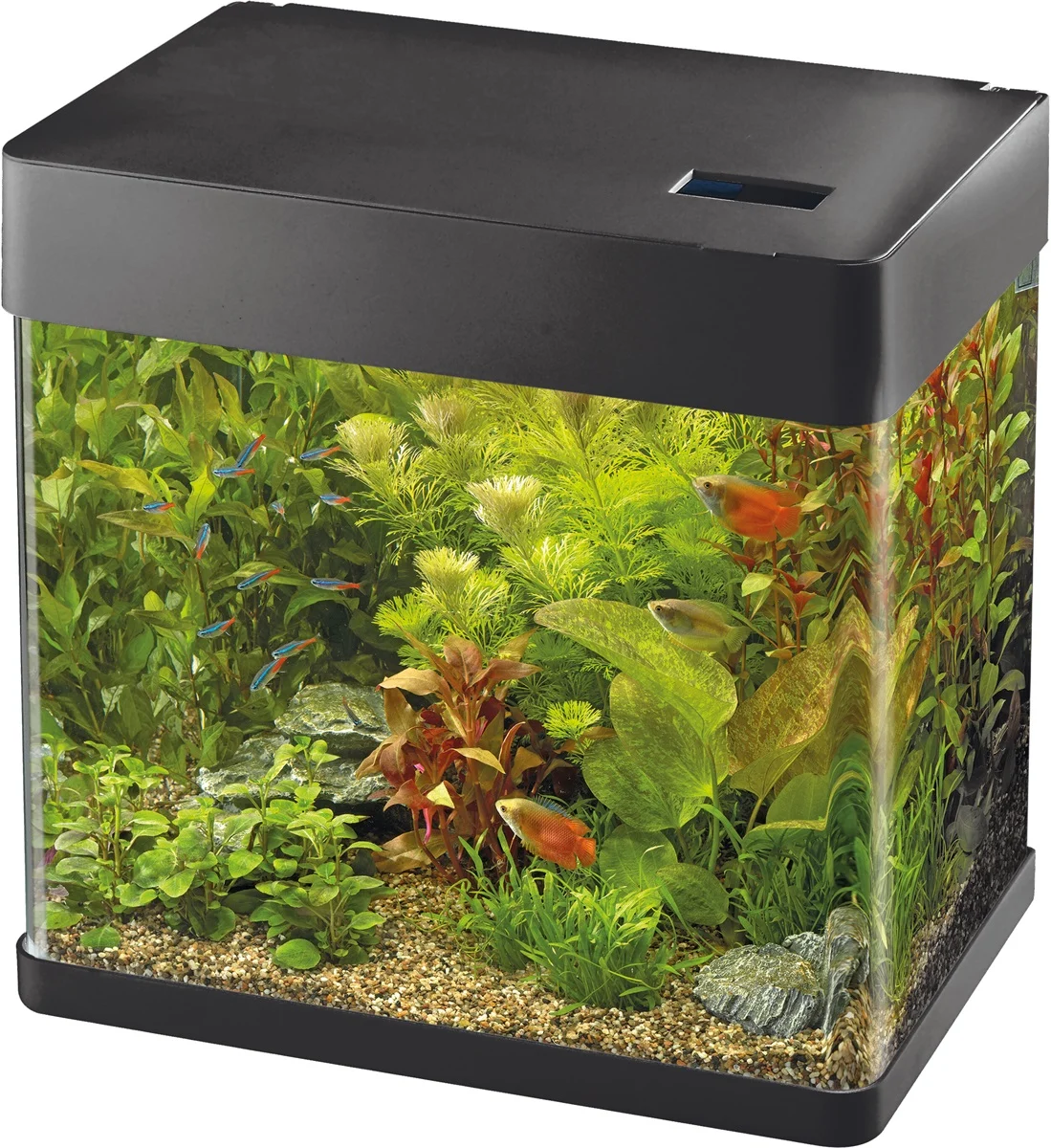 SuperFish  Panorama 20 aquarium zwart Superfish afbeelding