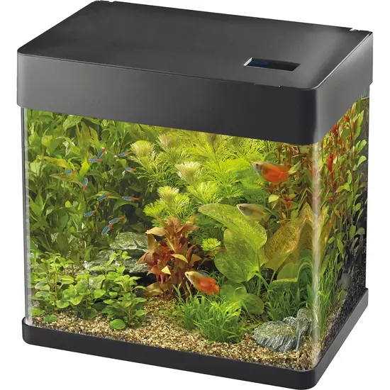 SuperFish  Panorama 50 aquarium zwart - Superfish
