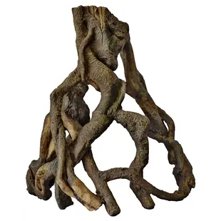 Tree Wortel L - SuperFish