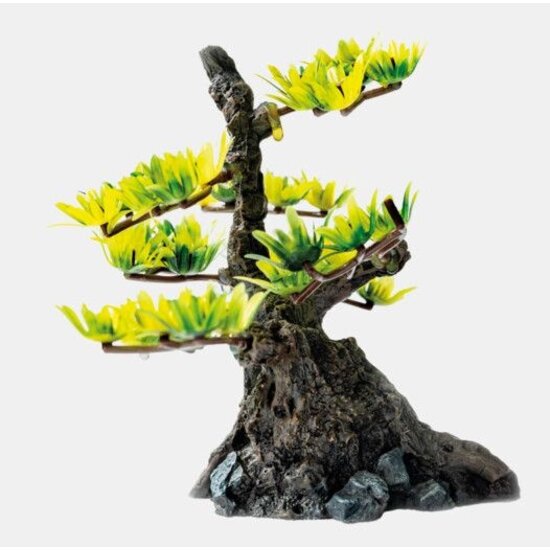 SuperFish  Decoratie Bonsai XS - SuperFish