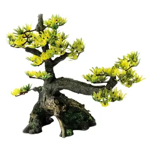 Decoratie Bonsai M - SuperFish