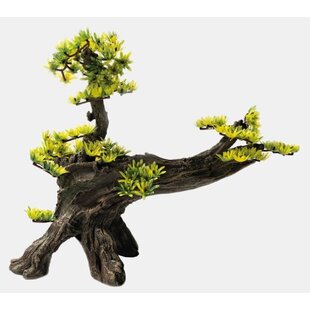 Decoratie Bonsai L - SuperFish