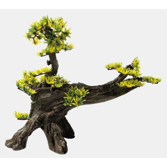 SuperFish  Decoratie Bonsai L - SuperFish