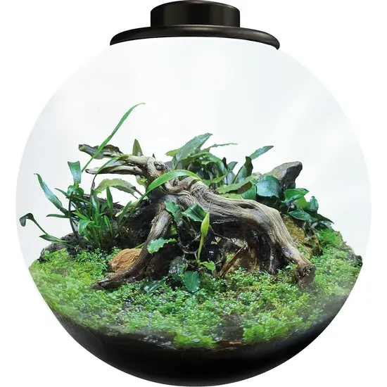 Bioart BOWL 225 ZWART - BIOART