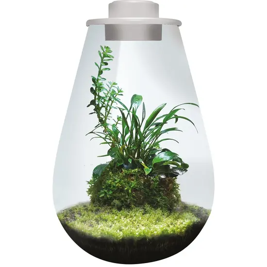 Bioart DROP 285 WIT - BIOART