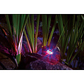 Oase ProfiLux Garden LED RGB Tuinverlichting
