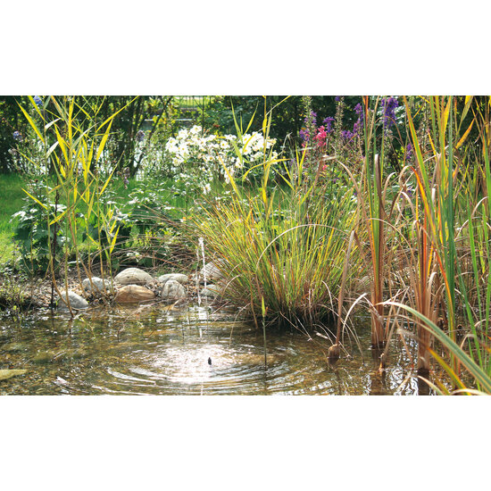 Pontec Pontec PondoSolar 150 Fonteinpomp - Oase