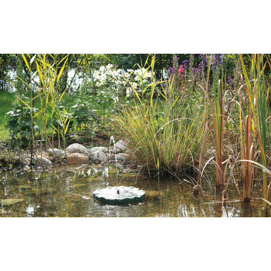 Pontec  Pontec PondoSolar Lily Island Fontein - Oase