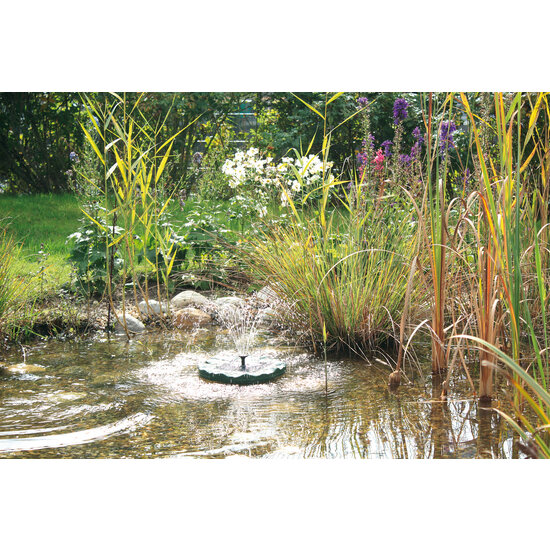 Pontec  Pontec PondoSolar Lily Island Fontein - Oase