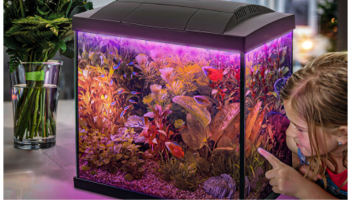 Aquarium