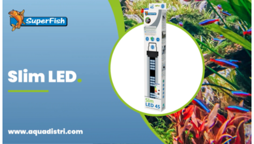 Led verlichting