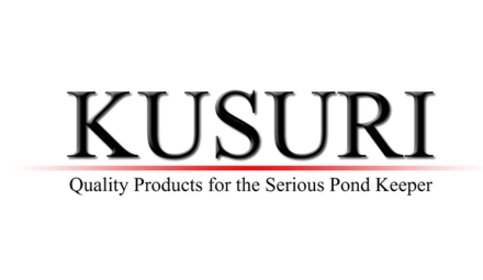 Kusuri Kusuri