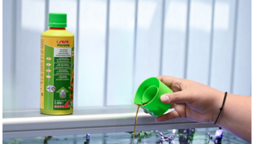 Plantverzorging