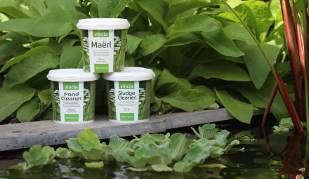 Fosfaat en helder water  Fosfaat en helder water