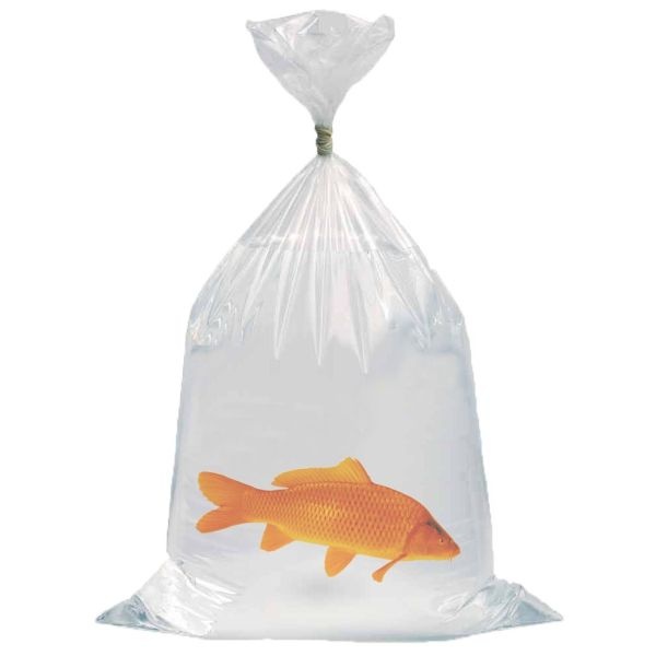 AquaForte Vistransportzakken 50 x 100cm en 0,06mm dik - Doos (250 stuks) - Aquaforte afbeelding