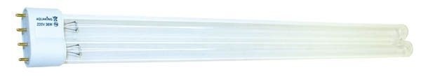 Aquaking PL Vervanglamp 24W 2G11 – AquaKing afbeelding