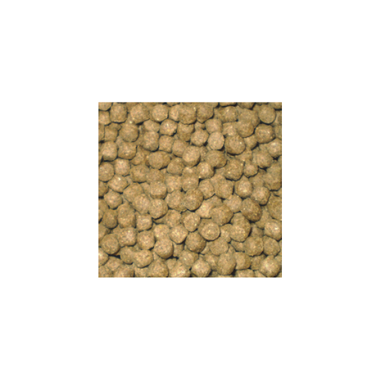 AquaForte Wheat Germ Drijvend Koivoer - 15 Kilo (6 mm) - AquaForte