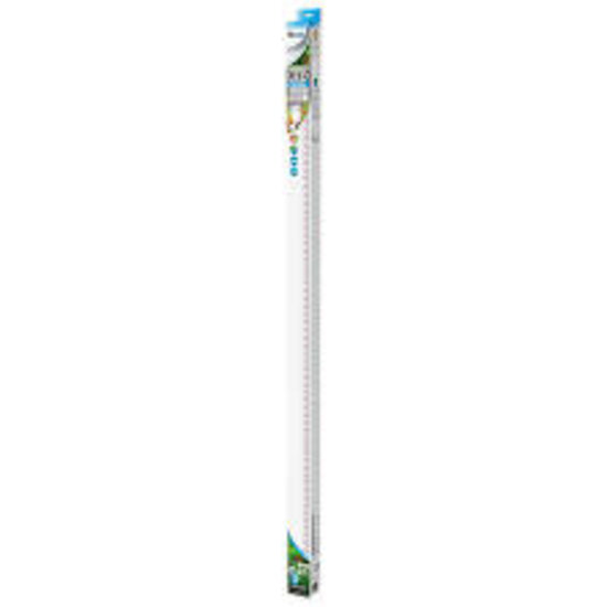 SuperFish  Retroled combi T8&Jt5 150cm verlichting 58 watt - SuperFish