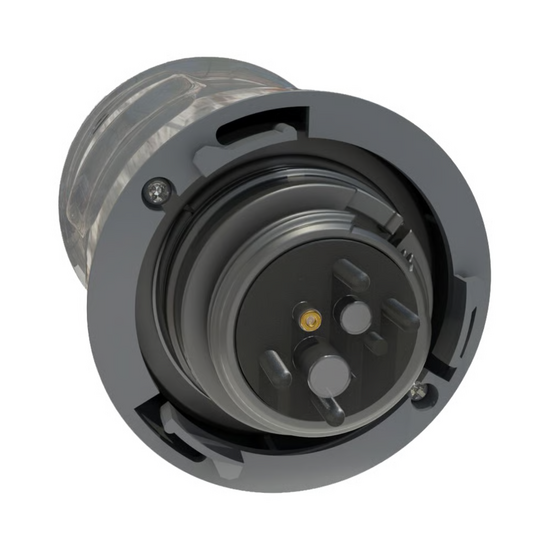 Zodiac Blue Connect Gold