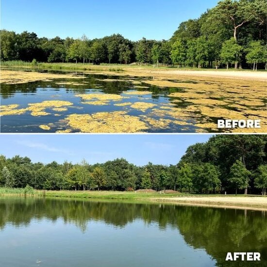 KingFisher Kingfisher Nanobubble Generator met Micro-Ozon en Zuurstofverrijking voor Vijvers en Kleine Meren