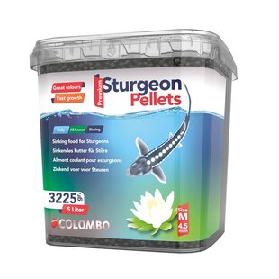 Steur medium 5L - Colombo