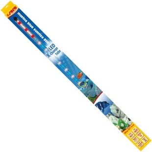 LED X-Change Tube marine blue sunrise 820 - sera