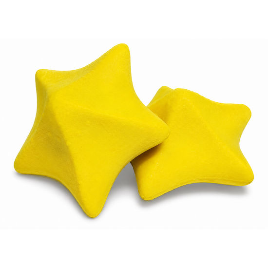 Kokido Absorberende zeester sponzen voor vettenreiniging 2 stuks - Kokido