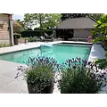 W'eau High Density Polystyreen Plunge Pool blokkenset - 2,00 x 2,00 x 1,20 m