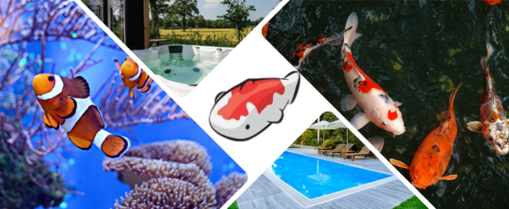Uw specialist op het gebied van vijvers, zwembaden, aquaria en jacuzzi's