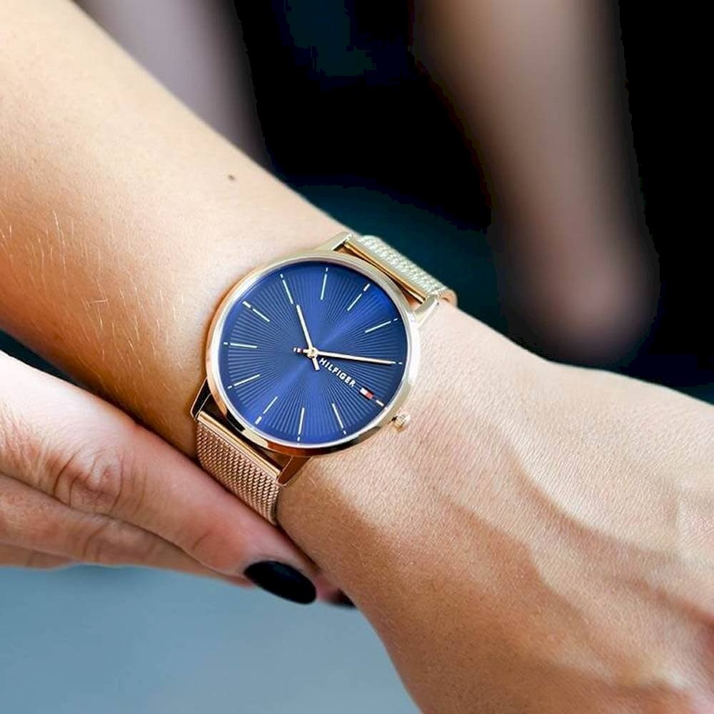 Tommy Hilfiger Aleyx 1782246