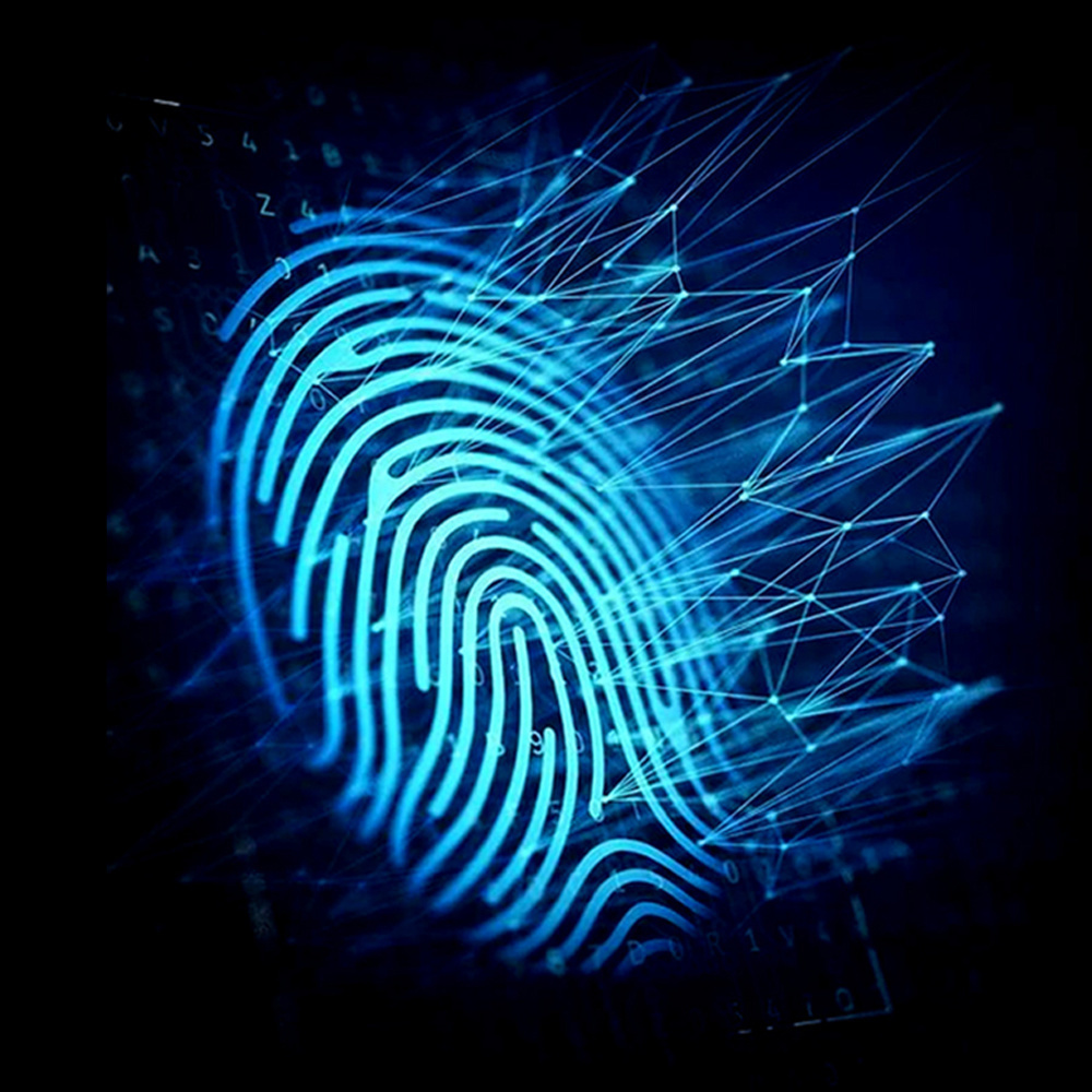 CHRONOGUARD Panthera Uhrenbeweger für 4 Automatikuhren Wood Collection