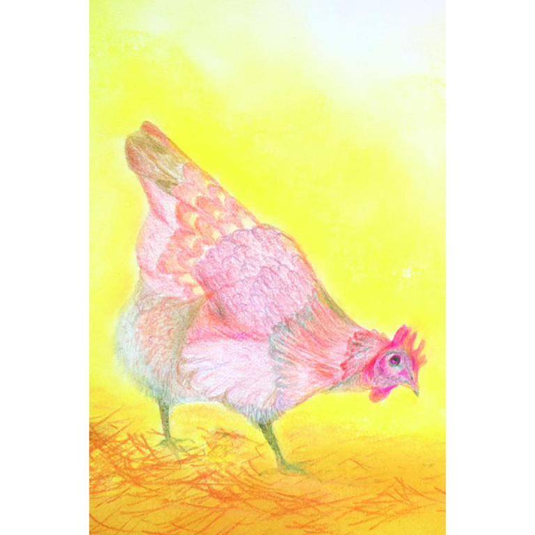 Brechtje Duijzer Brechtje Duijzer postcard Chicken
