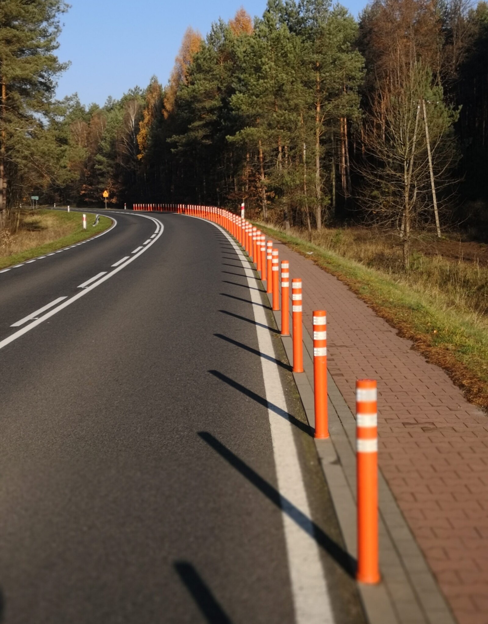 SmartFLEX Flexibele Afzetpaal 80cm ORANJE (SmartFlex Pole Cone)