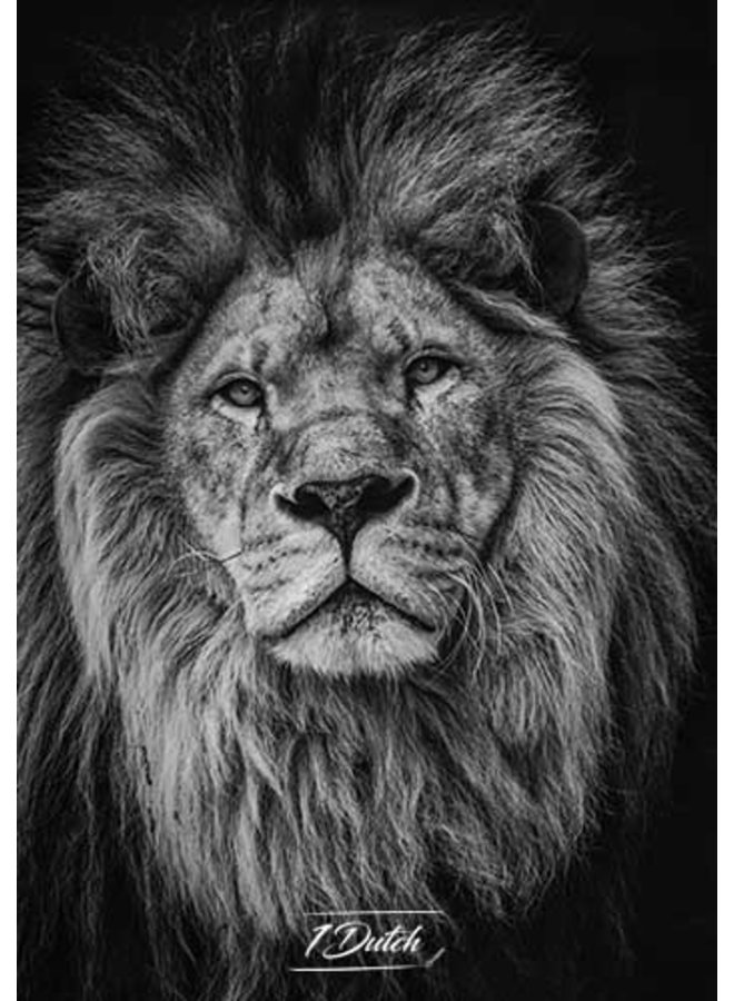 Lion - 1Dutch Fine Art