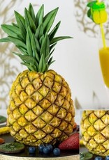 Karen Davies Karen Davies Siliconen Mould - Tropical Pineapple