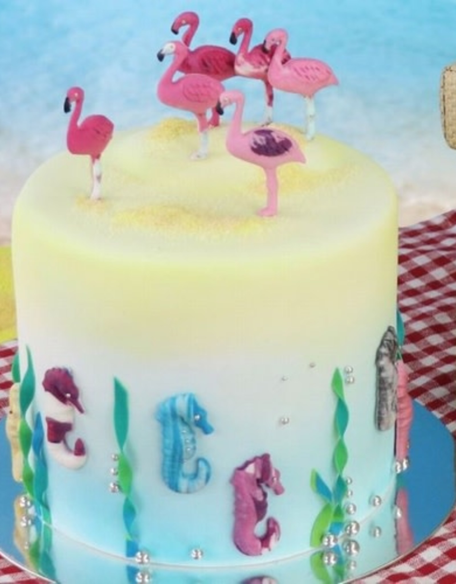 JEM JEM Pop It® Sea Life Set/2