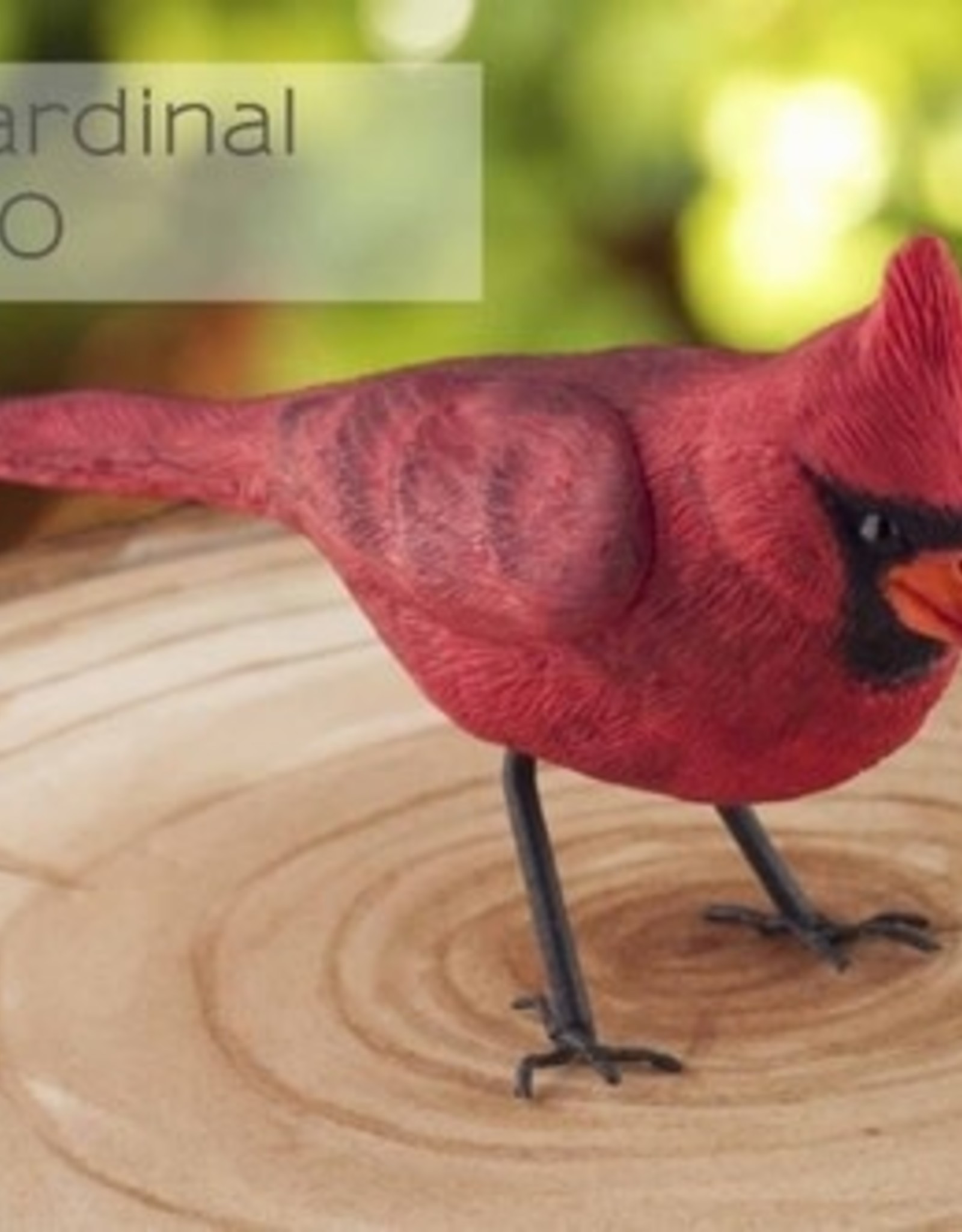 FPC FPC Red Cardinal/Levensechte vogelmal