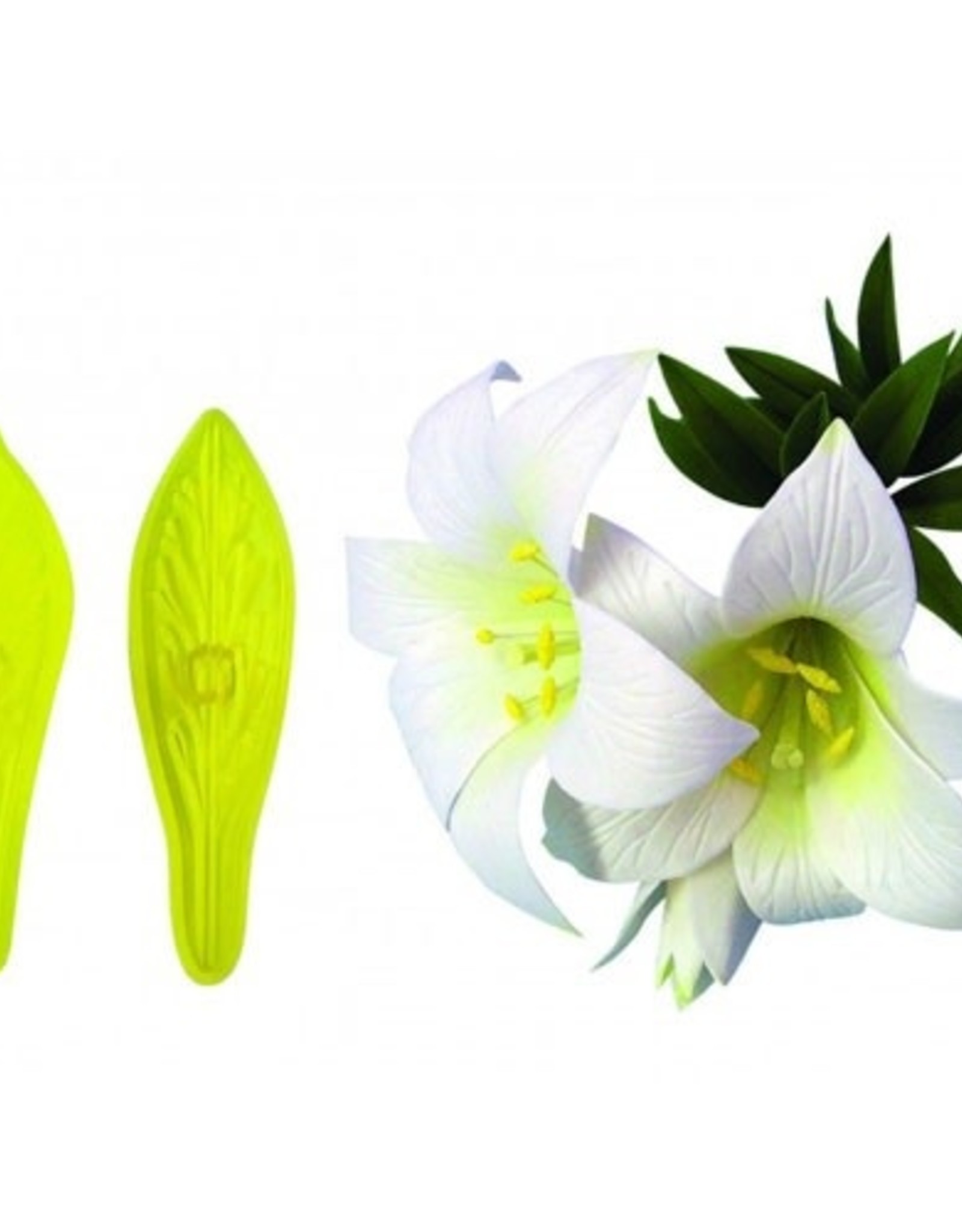 JEM JEM St Joseph's Lily & Star Gazer Lily Cutter Set/2