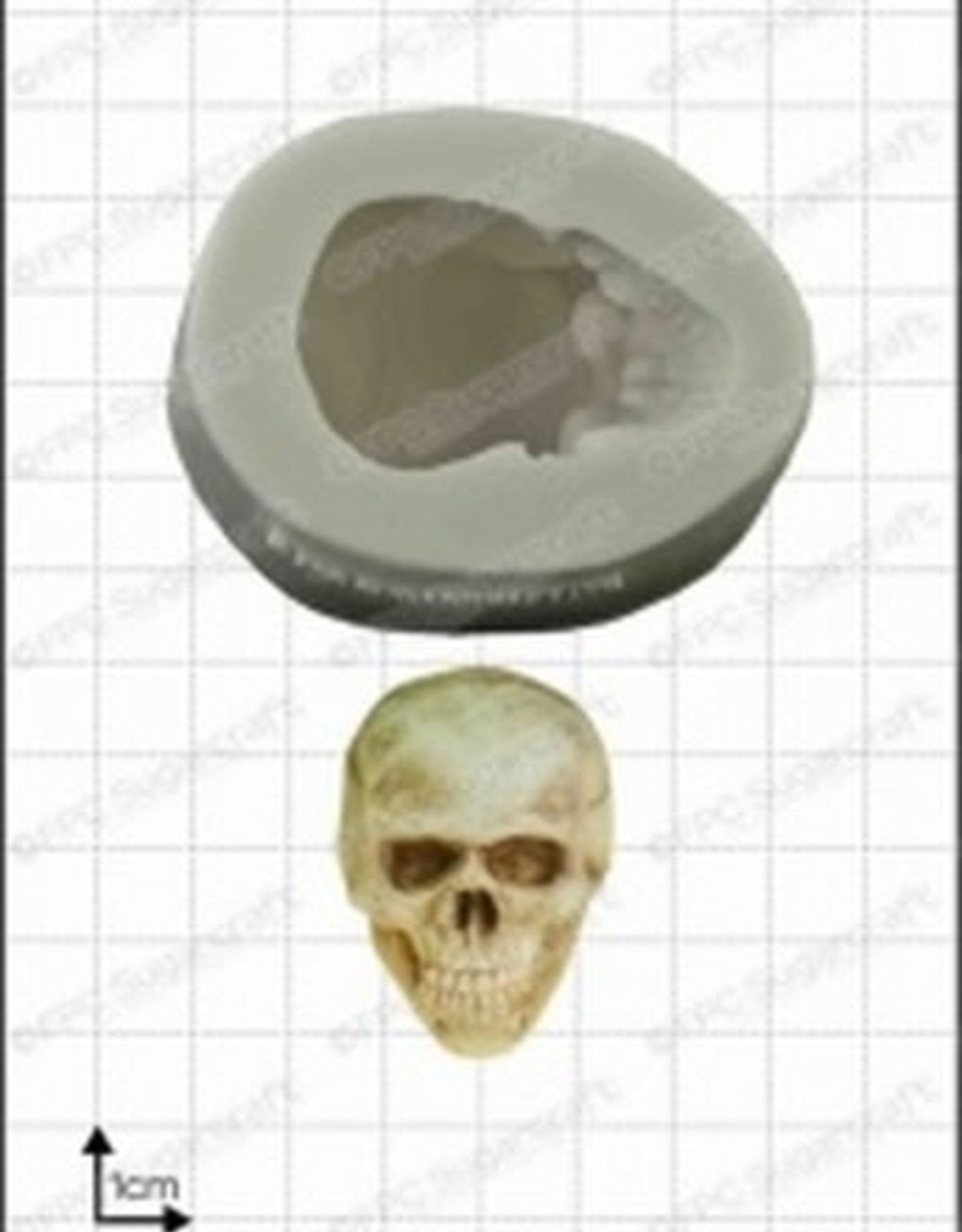 FPC FPC 3D Skull/3D Doodskop