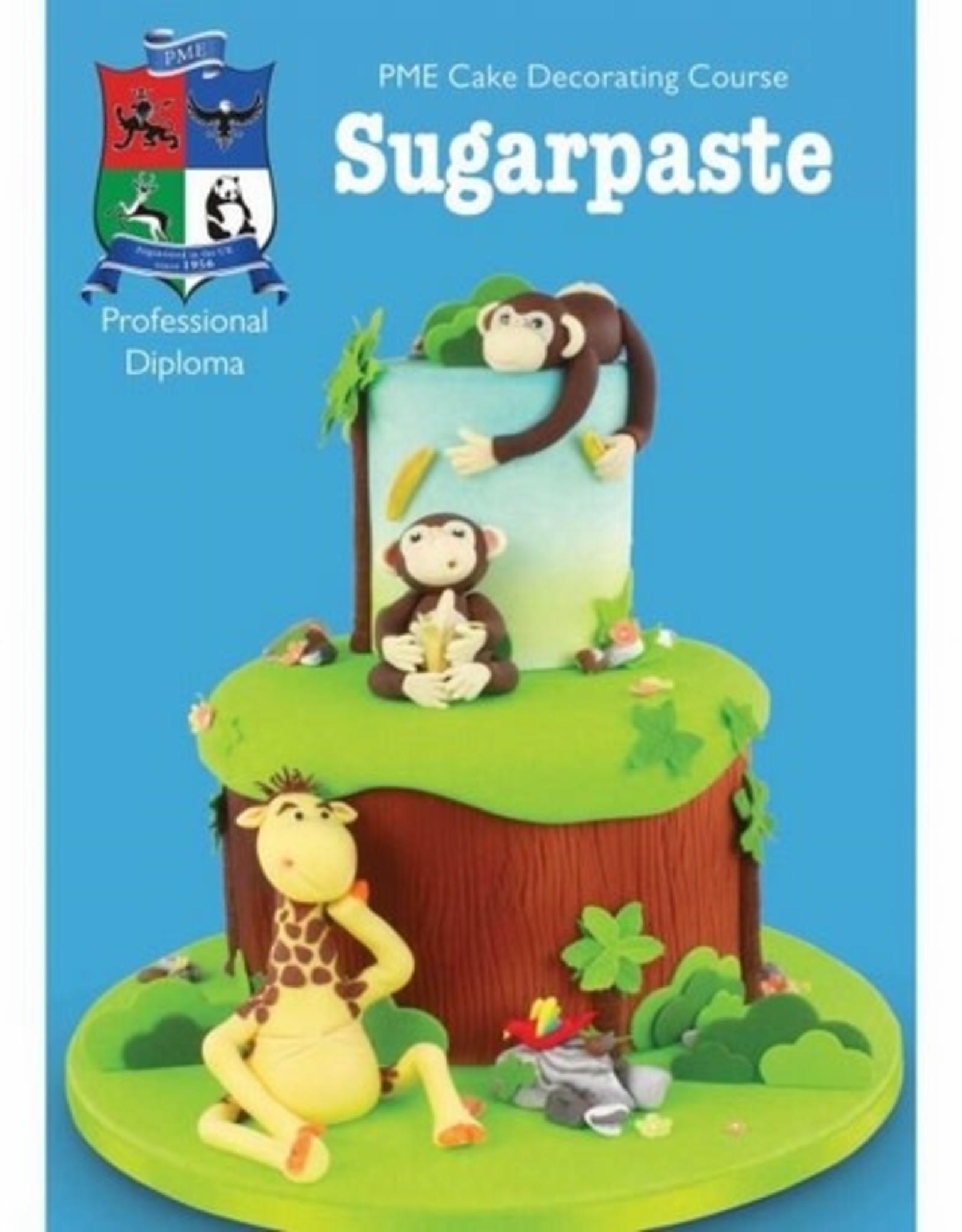 PME PME Professional Course Module Sugar Paste