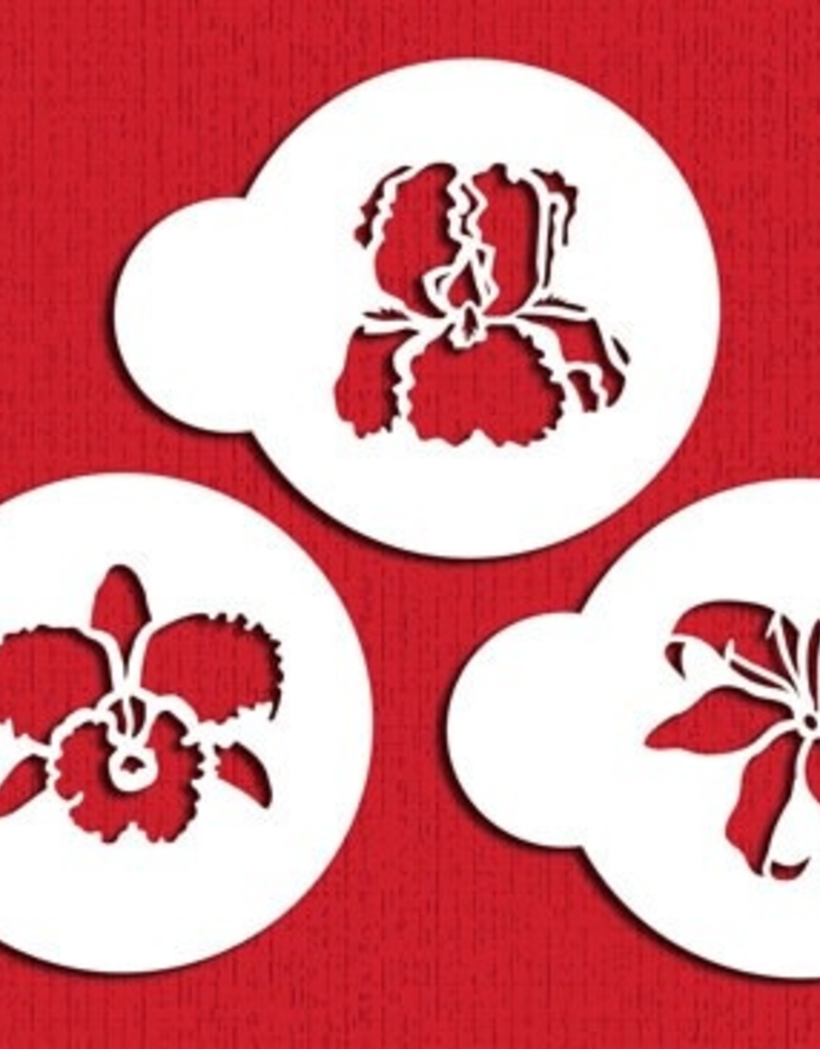 Designer Stencils Designer Stencils Exotic Flowers Set/3