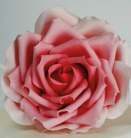 FMM FMM Large Rose Petal Cutter Set/3