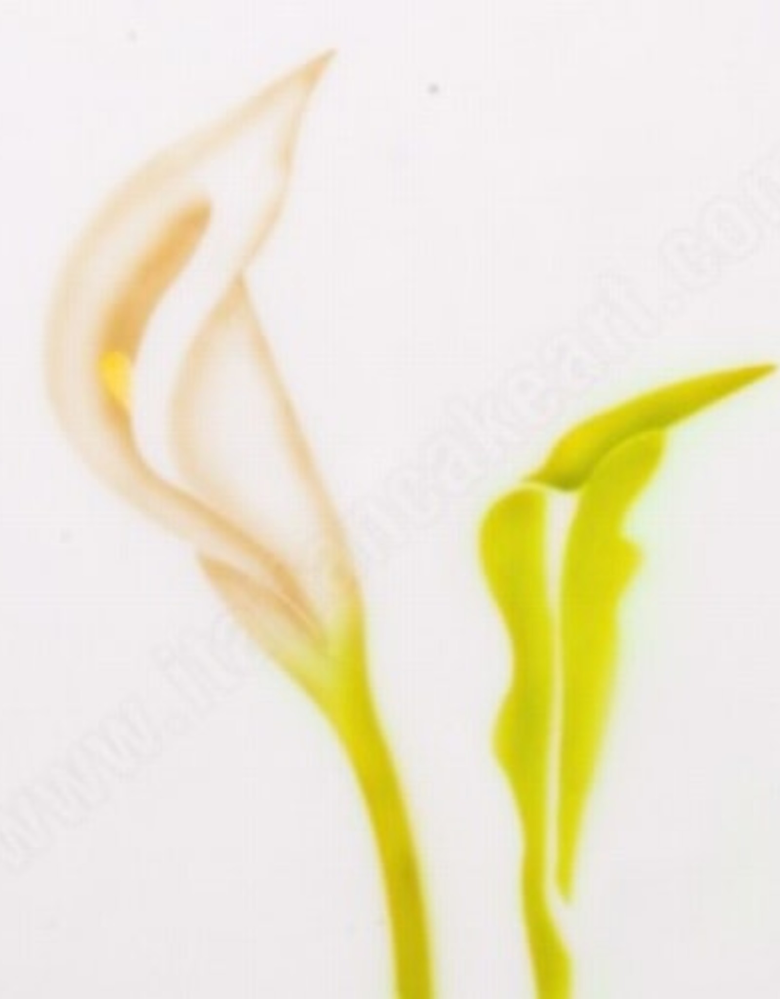 Martellato ICA Airbrush Stencil Callas